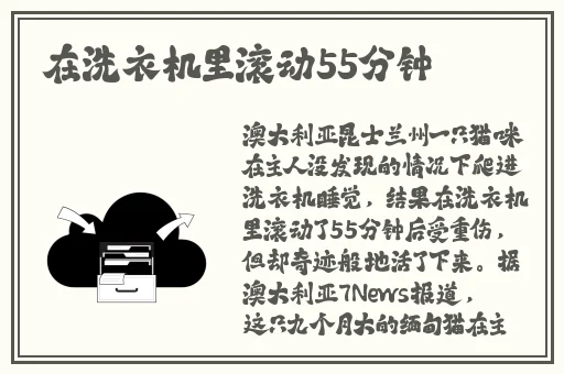日漫双子母性动漫